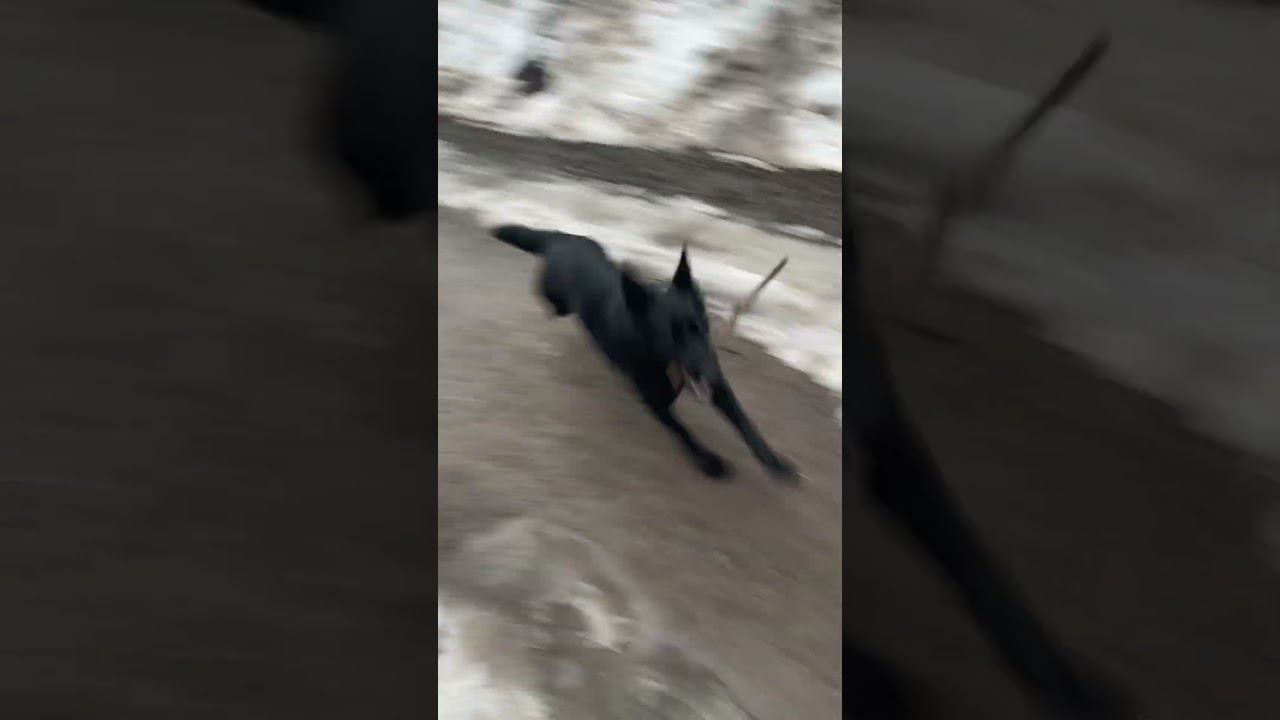 3 апреля 2024 г. смотреть онлайн