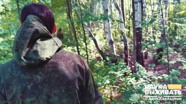 Наука Выживать. Эд Халилов. Как выжить в лесу.