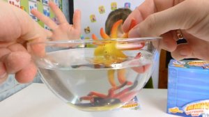 ШОК: МОРСКИЕ ЖИВОТНЫЕ ВЫРАСТАЮТ прямо в ТАРЕЛКЕ! Распаковка Растущих Морских Гигантов!