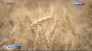 Новости Алтайского края - удобрение "Агровит-Кор"