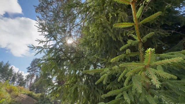 Продажа уникального участка земли на холме с видом на пруд 18,08 соток в Изумрудных горках