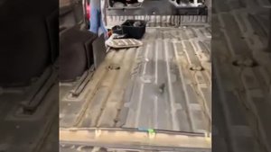 Установка шумоизоляции на Тойота Хайс