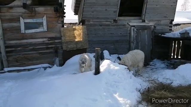 Наша дача март 2020 смотреть онлайн