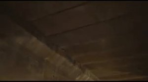 Заплыв по Сосенке-Хапиловке 2009