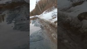 ПОКАТУШКИ НА СКУТЕРЕ HONDA DIO AF 56