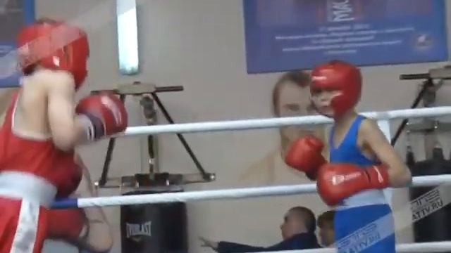 Состоялся традиционный новогодний турнир по боксу смотреть онлайн