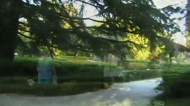 Адлер Дендропарк смотреть онлайн