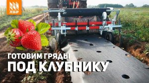 Грядообразователь для клубники Forigo G35