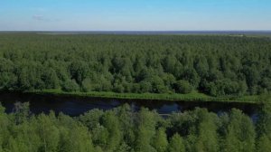 Каргопольский район, река Ухта