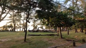 Пхукет, пляж Найянг (Nayang Beach). Январь 2022 год.