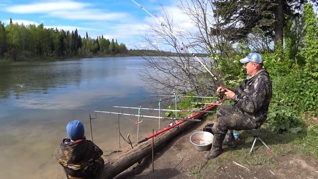 Клев на Доработанную Снасть"Убийца Карася"! Что и Требовалось Доказать! смотреть онлайн
