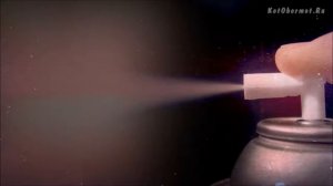 Как отучить котенка кусаться и царапаться   10 советов