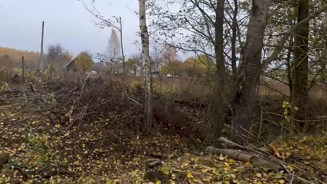 Нас ждут великие дела. Готовимся смотреть онлайн