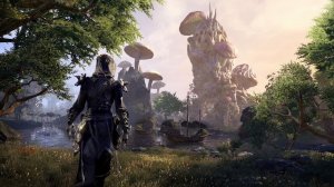 TESO, Ежедневки