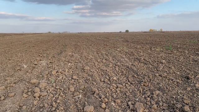Посевная 2021, сеем в сухую землю