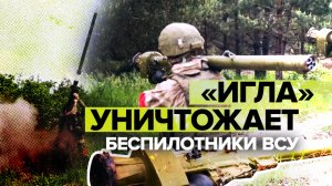 Расчёты ПЗРК «Игла» уничтожили беспилотники ВСУ — видео