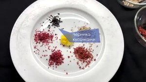 МОЛЕКУЛЯРНАЯ КУХНЯ РЕЦЕПТЫ. ПИЩЕВЫЕ КУСОЧКИ СУБЛИМИРОВАННЫХ ОВОЩЕЙ, ЯГОД И ФРУКТОВ. MOLECULARMEAL
