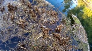 Воблер TSURIBITO Hard Minnow. Тсурибито