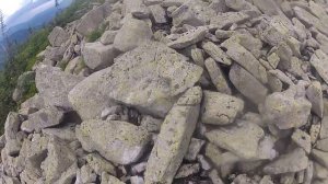 Поднебесные зубья 2015