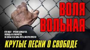 ВОЛЯ ВОЛЬНАЯ | КРУТЫЕ ПЕСНИ О СВОБОДЕ