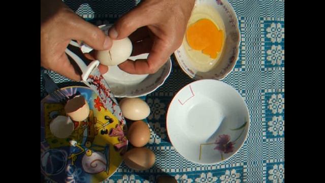 Как я искал куриное яйцо для инкубации смотреть онлайн