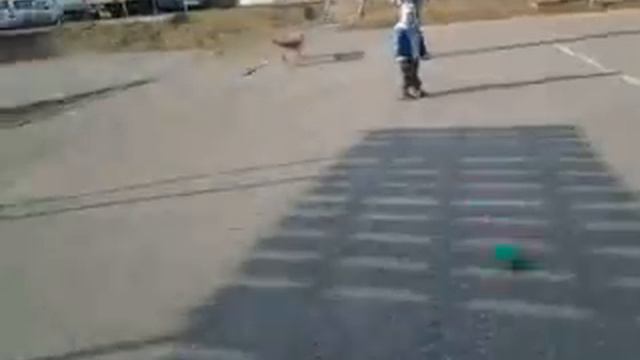 с папой гоняет мячик 2 года смотреть онлайн