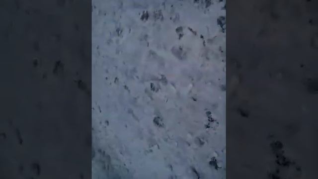 Драка сменками ,победа и сне смотреть онлайн