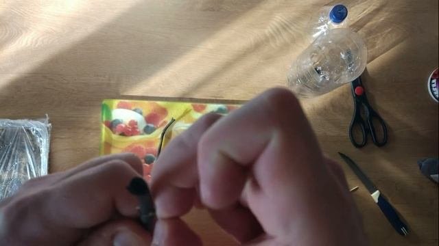 Размножение орхидеи фаленопсис черенками