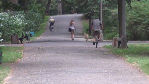 SONY HDR-XR160E test 1080p