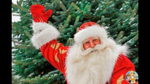 Мороз красный нос