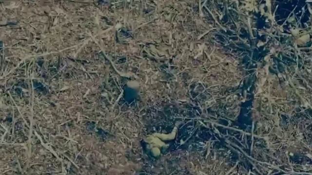 Артёмовское_ Они упорно шли к бандере...
