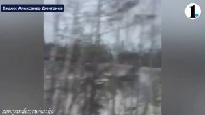 В Челябинской области 16 марта сошли с рельсов 19 вагонов грузового поезда