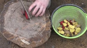 Разведение Нутрий в домашних условиях