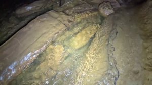 Swimming Through Cave Filled With Blind Fish