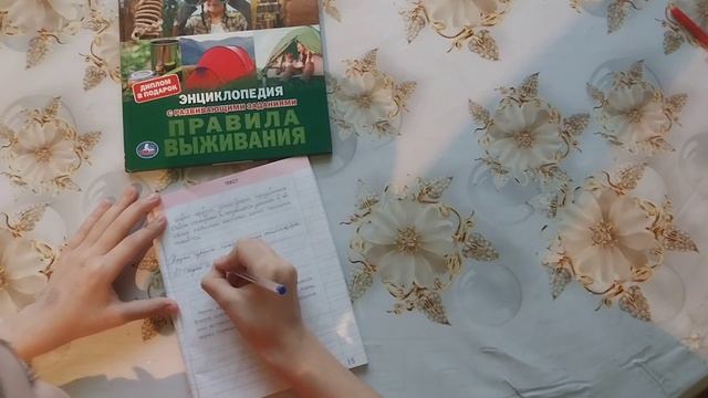 Как научиться писать грамотно и без ошибок.Советы от профессора.