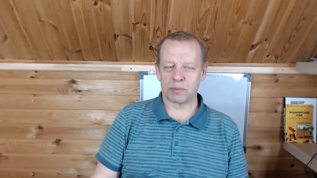 Принципы естественного пчеловодства. Владимирский улей лежак. Ответы на Вопросы. Прямая Трансляция смотреть онлайн