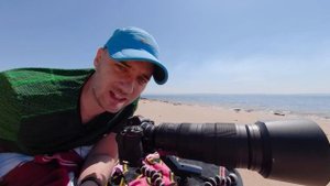 Review of the Nikon 200-500mm f/5.6 | Wildlife photography with the Nikon Z6