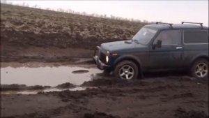 Нива 3D vs cordiant off road
