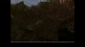 где найти детектор велес в сталкере чистое небо на болотах