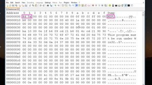 How To Use Notepad++ As A Hex Editor
