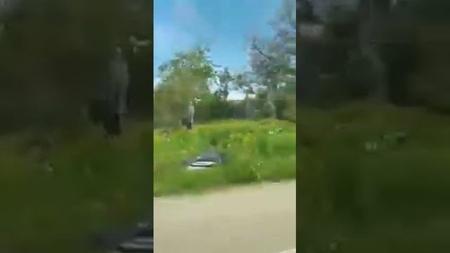 КАК ГОЛУБИ НАХОДЯТ СВОЙ ДОМ смотреть онлайн