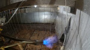 Брудер, Клетка для бройлера.Дезинфекция клеток