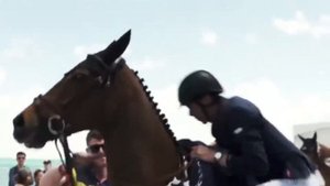 самые быстрые лошади