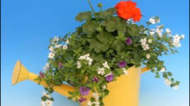 Mothers Day Flowers смотреть онлайн