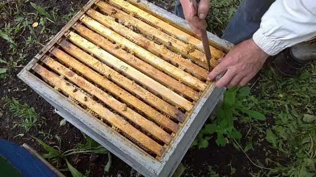 "Линии" :) "Клуба карники" в работе.Серия 1. смотреть онлайн