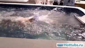 Тестирование Endless Pool