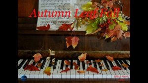 061. Autumn Leaf Fall (2020).mp4