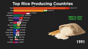 Top Rice Producing Countries From 1960 to 2021