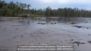Смотреть всем! Озеро уходит под землю. Неукротимая стихия.