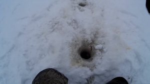 Ветлужская рыбалка 2020 (сорога и окунь на гвоздешарик)